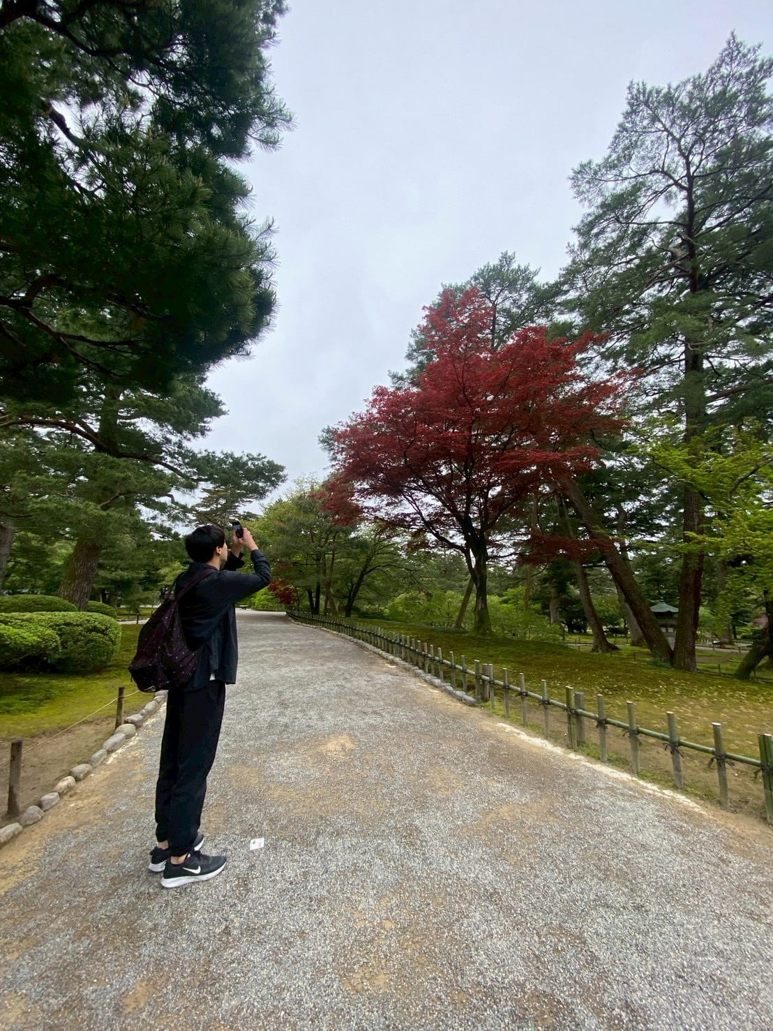 自然が多いが不便ではない