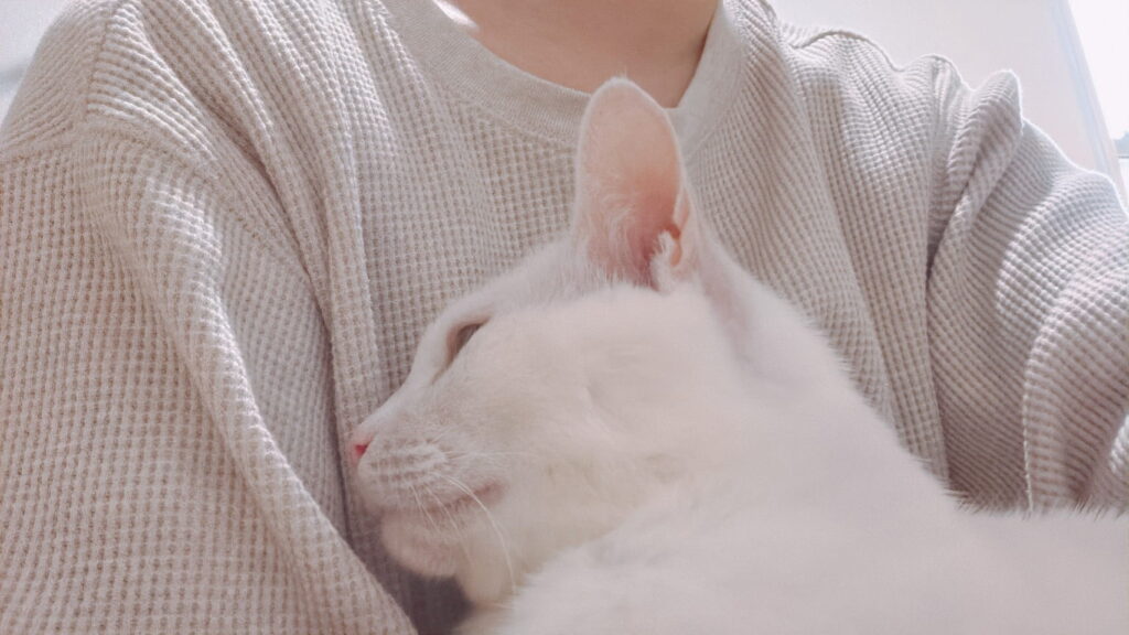 Ruka